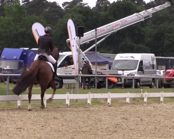 Reitturnier Coesfeld/Lette 2017