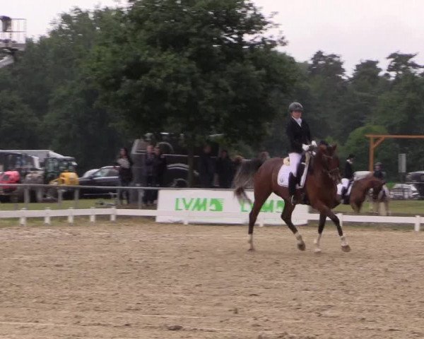 Reitturnier Coesfeld/Lette 2017