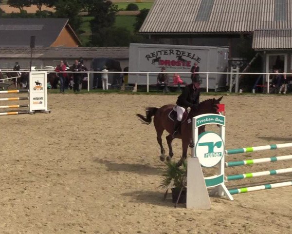 Reitturnier Brilon 2017