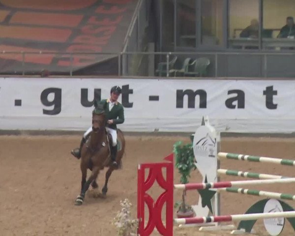 Reitturnier Kreuth 2018
