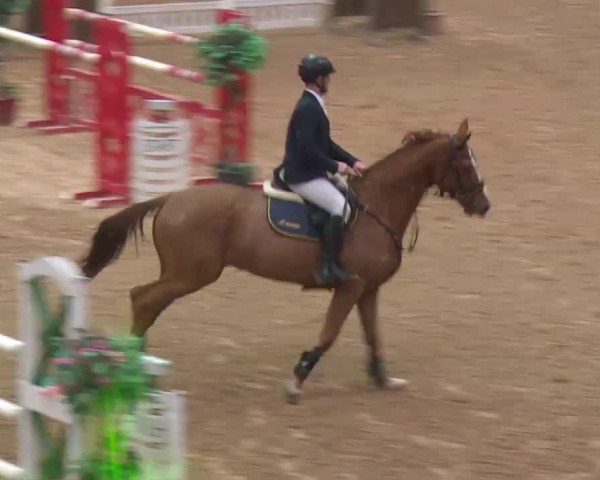 Reitturnier Kreuth 2018