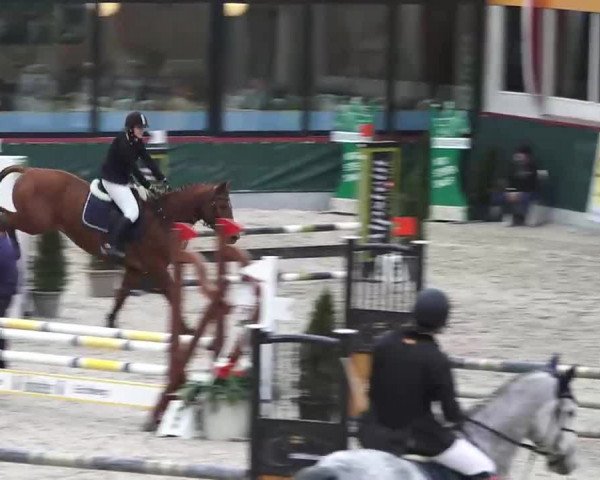 Hallenspringen Oberriet 2018