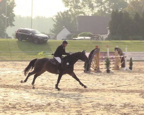 Reitturnier Hamm-Rhynern 2018