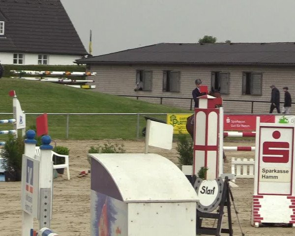Reitturnier Hamm-Rhynern 2018