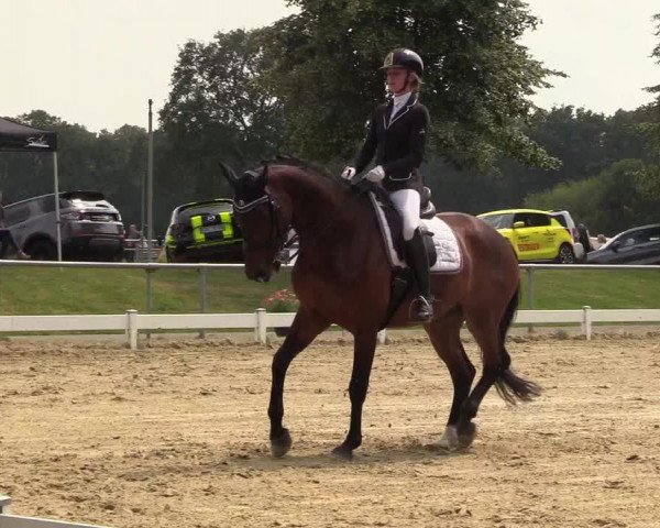Reitturnier Coesfeld/Lette 2018