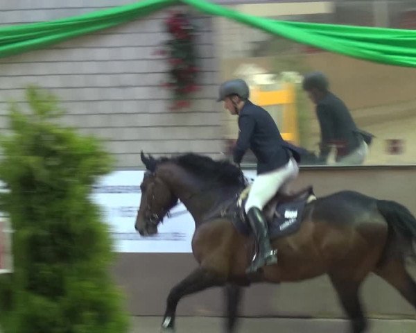 Reitturnier Leverkusen-Rheindorf 2018