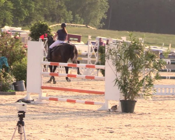 Reitturnier Oberfrauendorf 2018