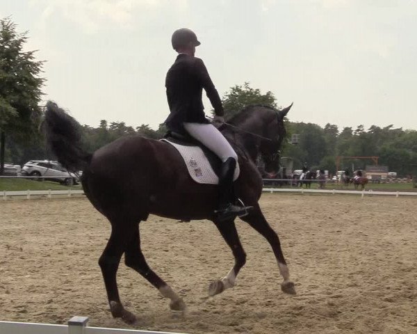 Reitturnier Coesfeld/Lette 2018