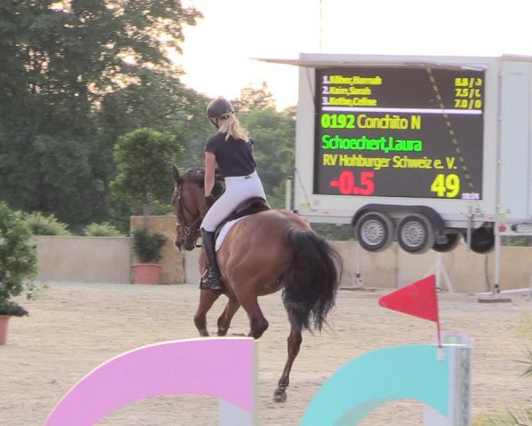 Reitturnier Oberfrauendorf 2018