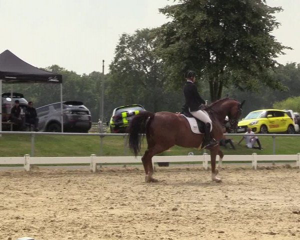 Reitturnier Coesfeld/Lette 2018