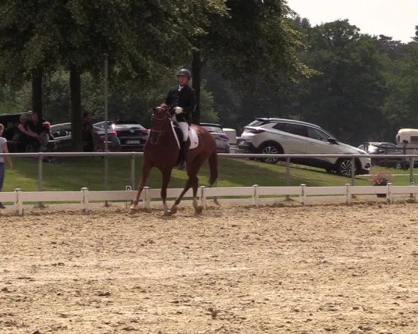 Reitturnier Coesfeld/Lette 2018
