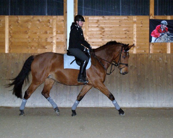 broodmare Latina (Brandenburg, 2001, from Lands River 90 FIN)