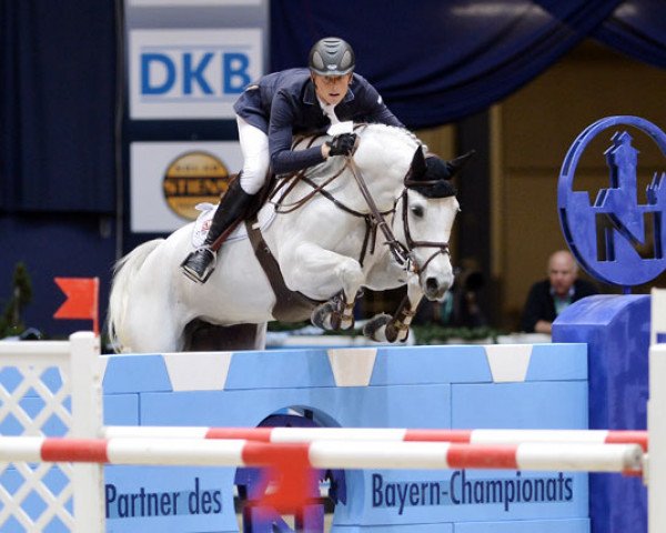 broodmare Cornetta (Westphalian, 2003, from Cornet Obolensky)