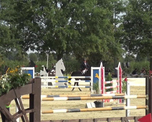 Kreisturnier auf dem Hilgershof 2018