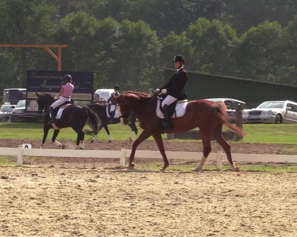 Reitturnier Coesfeld/Lette 2018