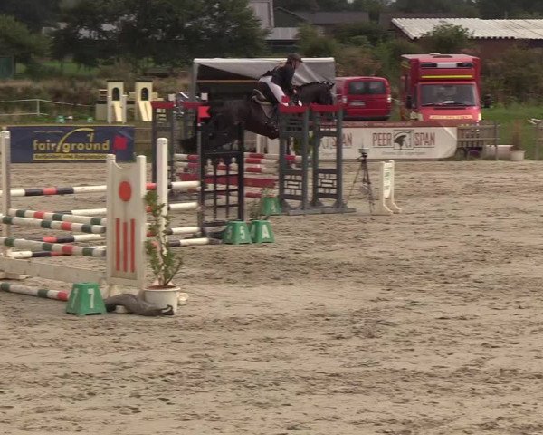 Reitturnier Schülp / Rendsburg 2018