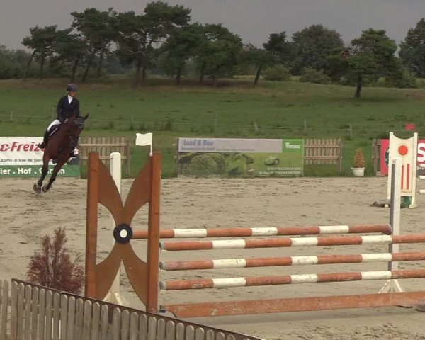 Reitturnier Schülp / Rendsburg 2018