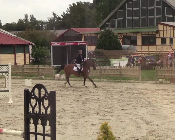 Reitturnier Schülp / Rendsburg 2018
