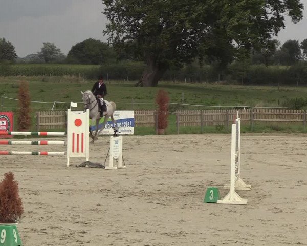 Reitturnier Schülp / Rendsburg 2018