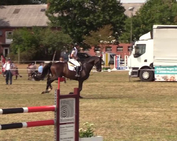 Reitturnier Ladelund 2018