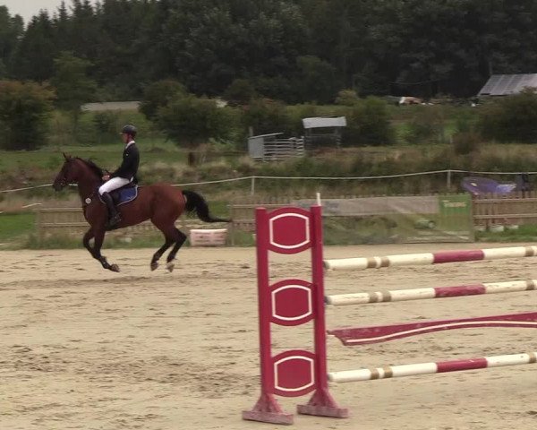 Reitturnier Schülp / Rendsburg 2018