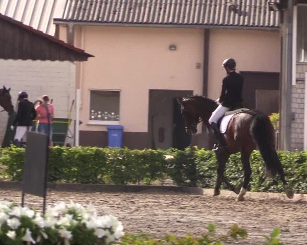 Reitturnier Olfen-Vinnum 2018