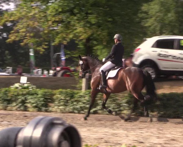 Reitturnier Olfen-Vinnum 2018
