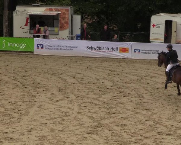 Reitturnier Buchenhof-Ibbenbüren 2018
