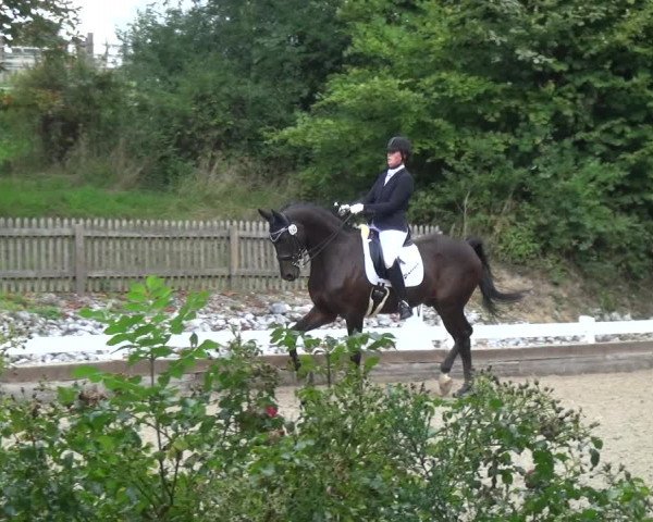 Reitturnier Mettmann - Reitanlage Löckenhoff 2018