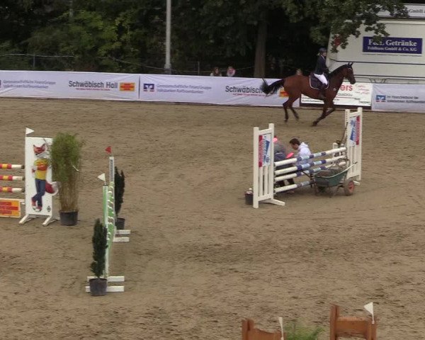 Reitturnier Buchenhof-Ibbenbüren 2018
