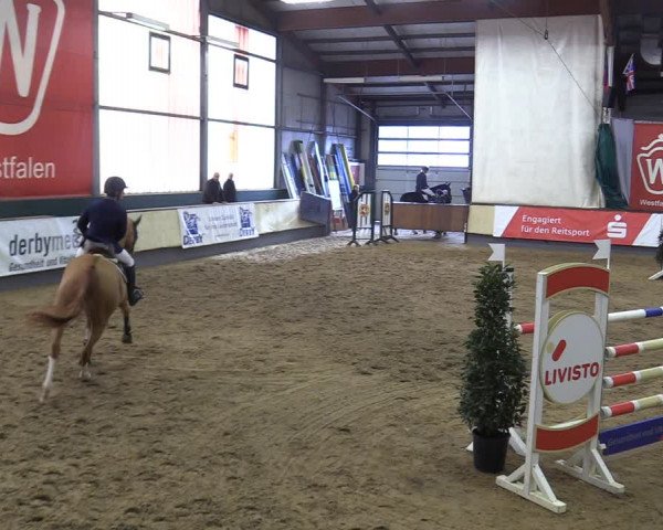 Reitturnier Münster-Handorf 2018