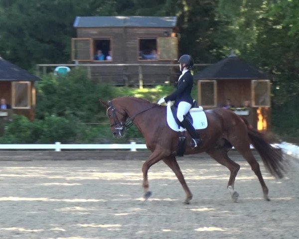 Reitturnier Mettmann - Reitanlage Löckenhoff 2018