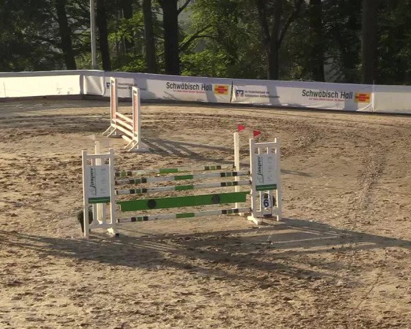 Reitturnier Buchenhof-Ibbenbüren 2018
