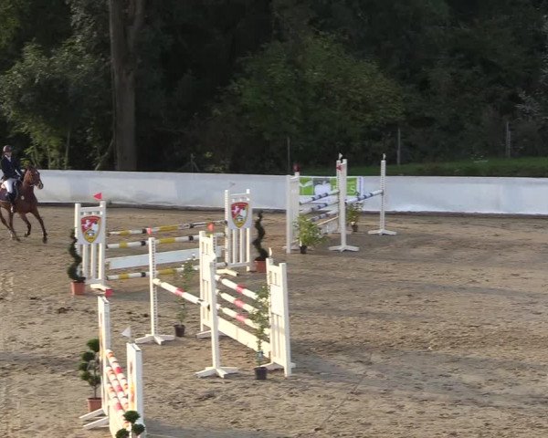 Reitturnier Buchenhof-Ibbenbüren 2018
