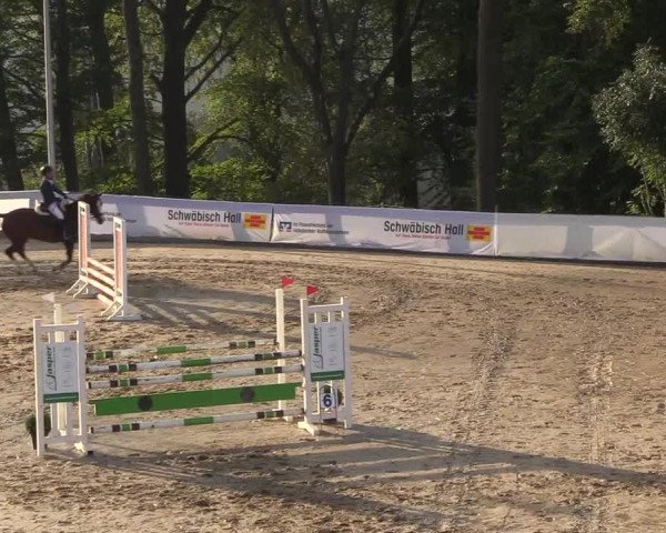 Reitturnier Buchenhof-Ibbenbüren 2018
