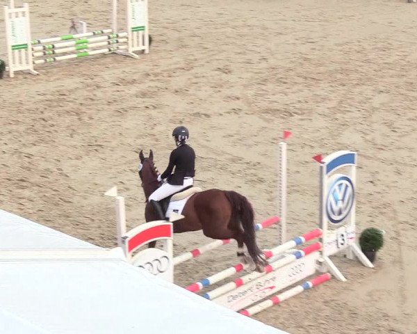 Reitturnier Buchenhof-Ibbenbüren 2018