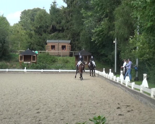 Reitturnier Mettmann - Reitanlage Löckenhoff 2018