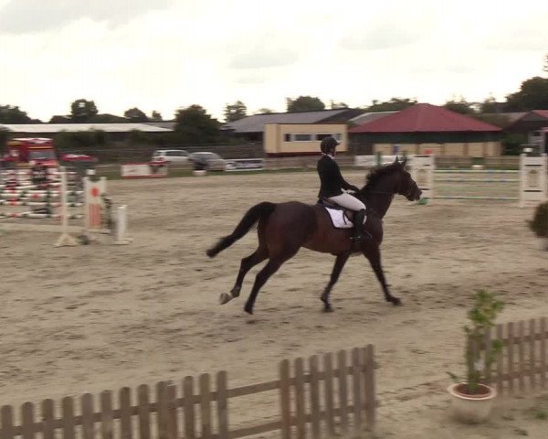 Reitturnier Schülp / Rendsburg 2018