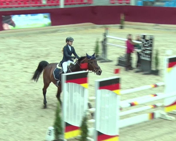 Reitturnier Neustadt/Dosse 2019
