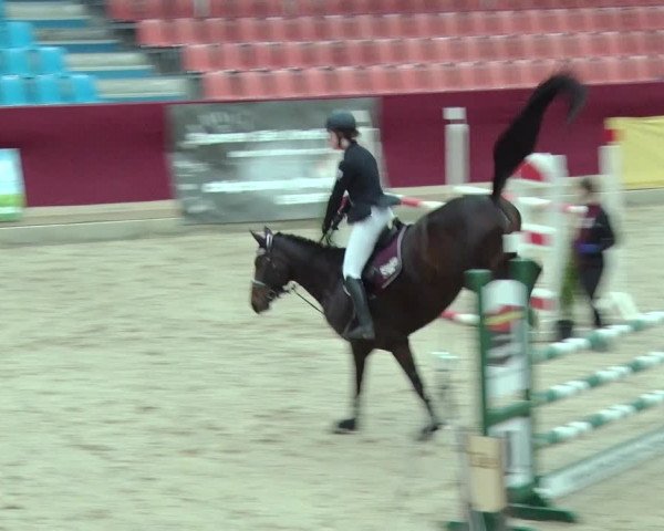 Reitturnier Neustadt/Dosse 2019