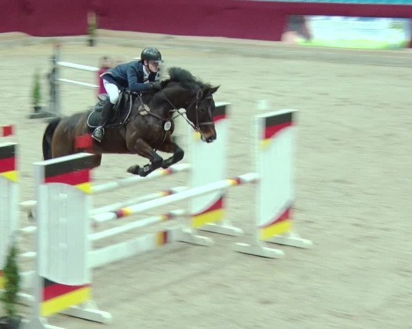 Reitturnier Neustadt/Dosse 2019
