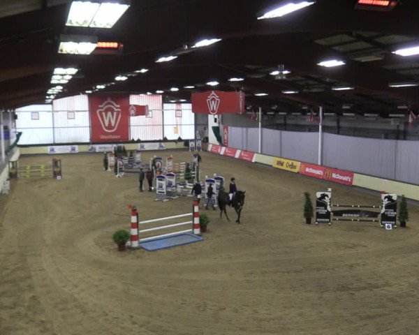 Reitturnier Münster-Handorf 2018