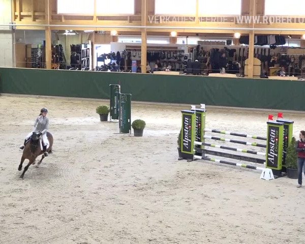 Reitturnier Dielsdorf, Horsepark Masters 2019