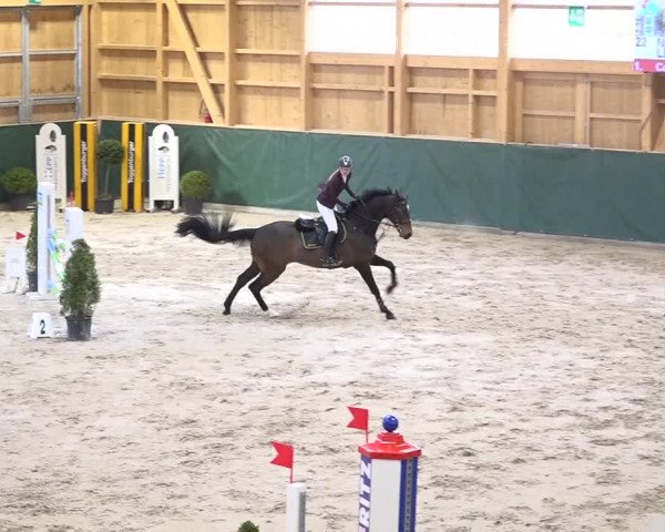 Reitturnier Dielsdorf, Horsepark Masters 2019