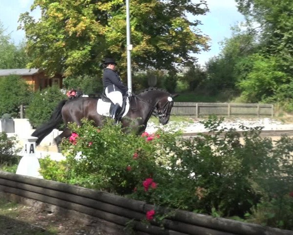 Reitturnier Mettmann - Reitanlage Löckenhoff 2018