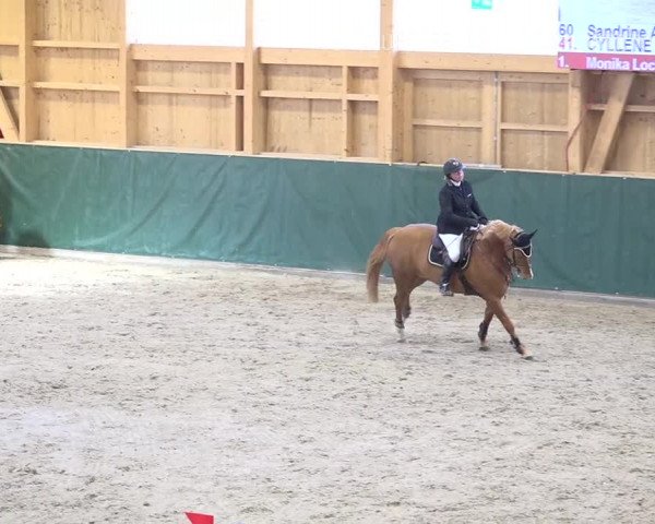 Reitturnier Dielsdorf, Horsepark Masters 2019