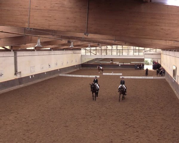 Reitturnier Dallgow 2019