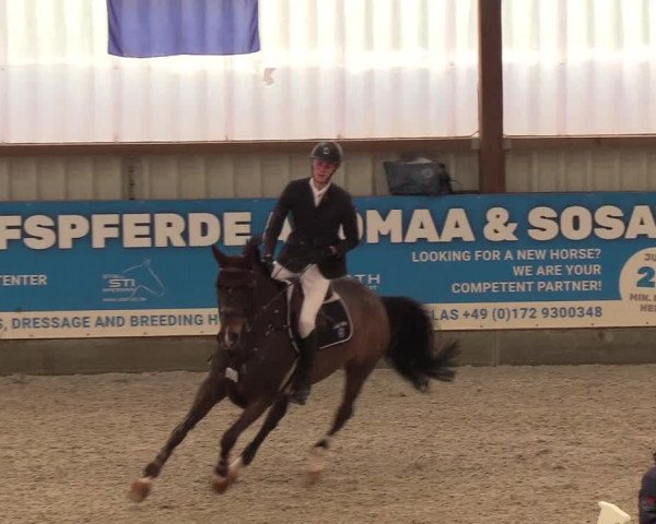 Nordic Jumping events 2019