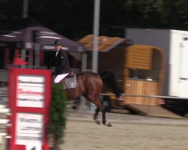 Reitturnier Wietmarschen 2019