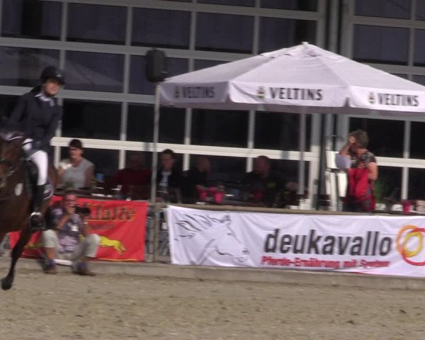 Reitturnier Wietmarschen 2019